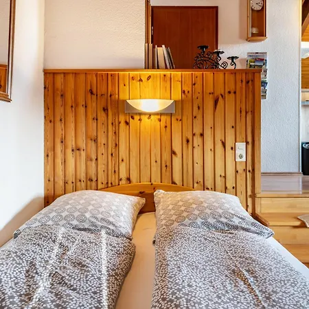 Appartement Haus Akelei à Todtmoos Extérieur photo