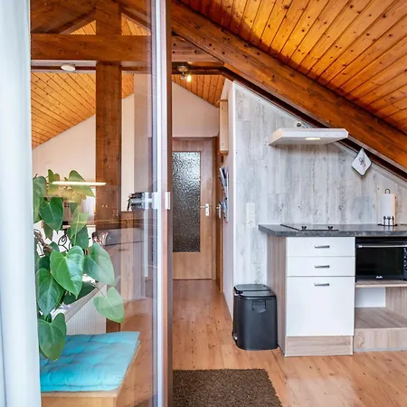 Appartement Haus Akelei à Todtmoos Extérieur photo