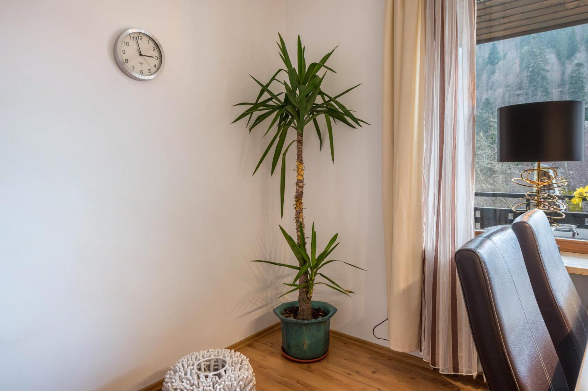 Apartment Haus Akelei